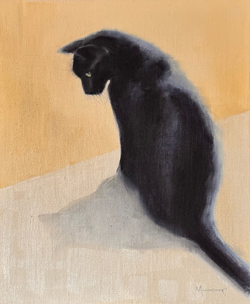 Alcus's Shadow