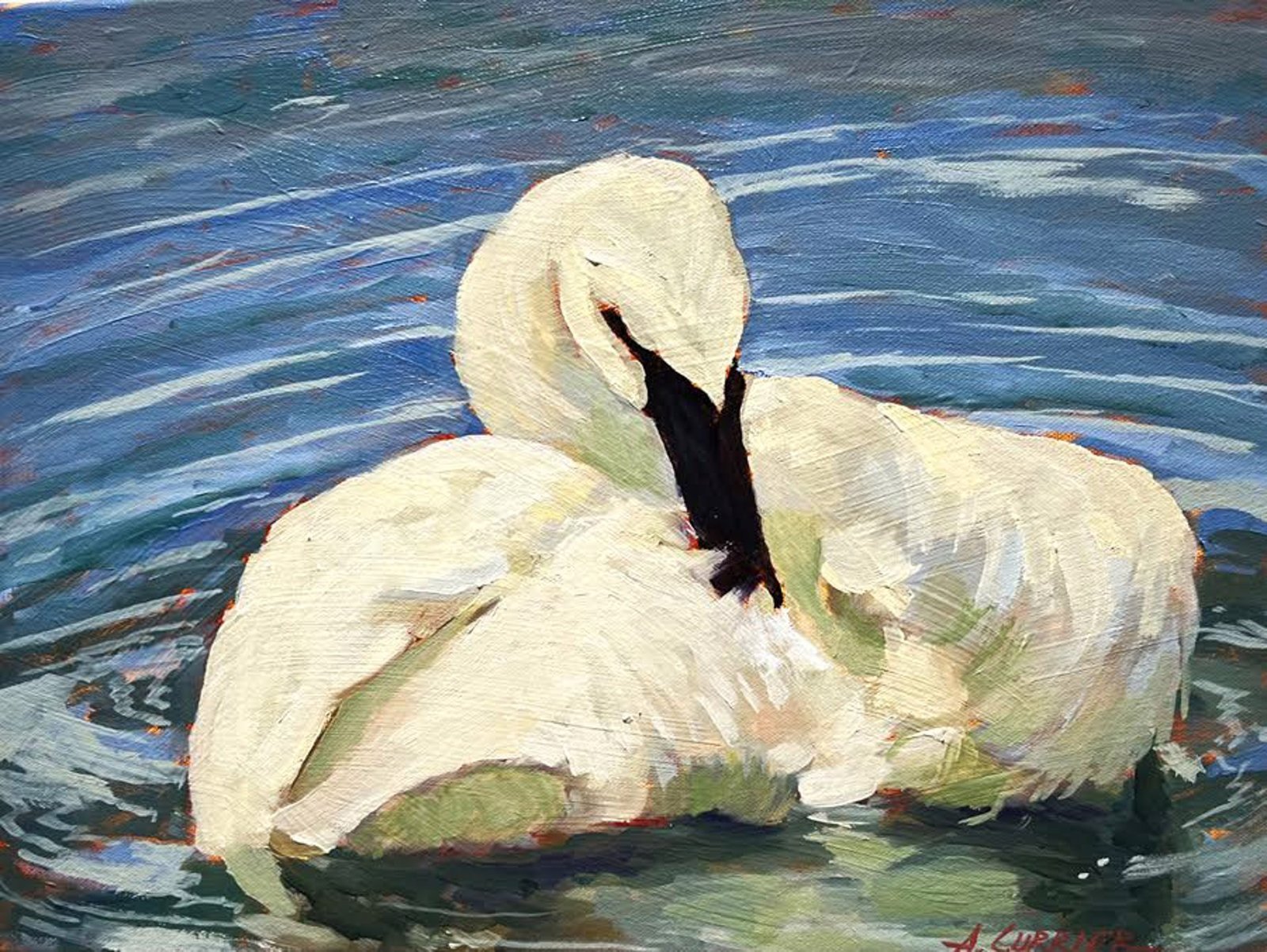 Preening