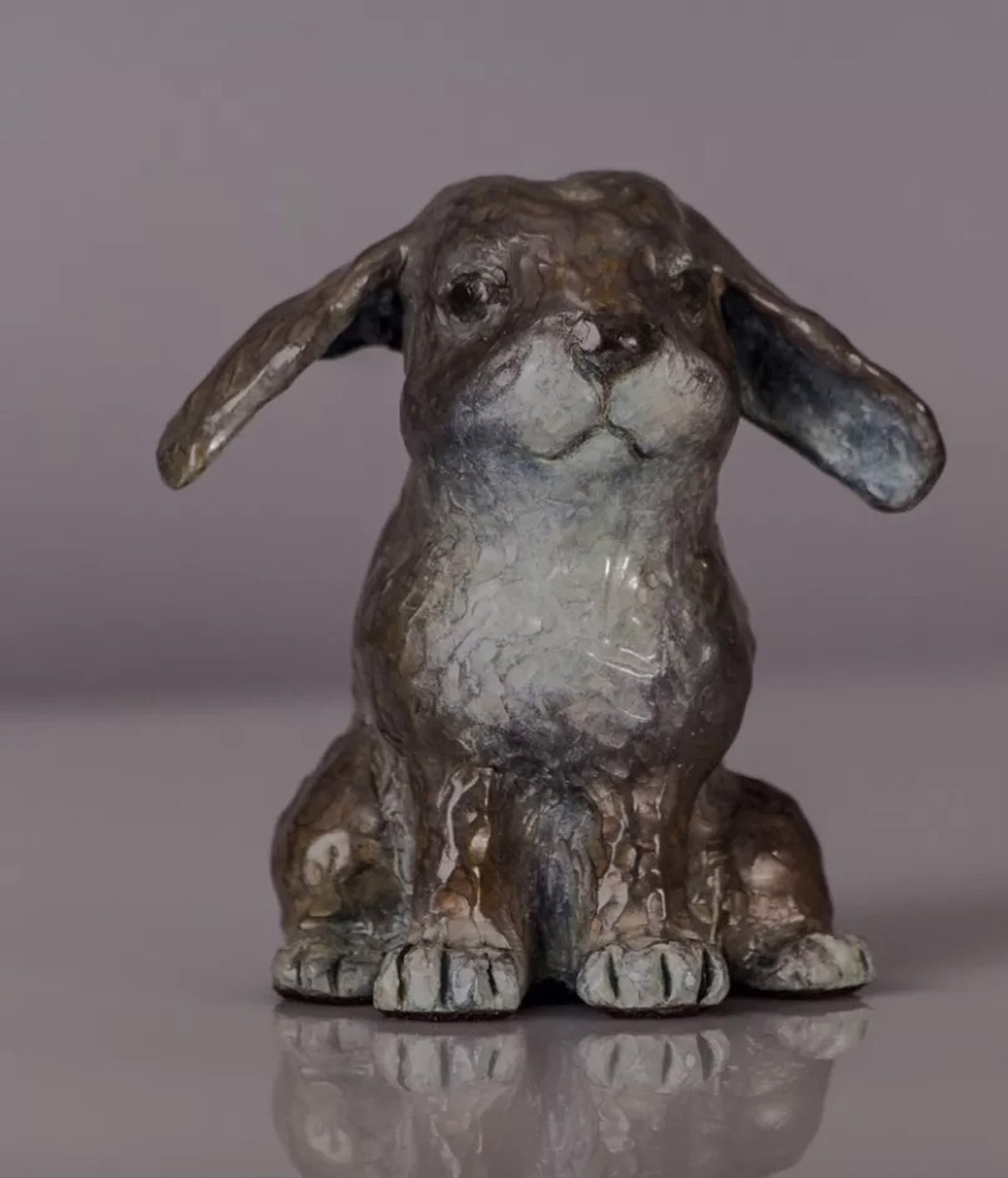 Flopsy, Lop Eared Bunny
