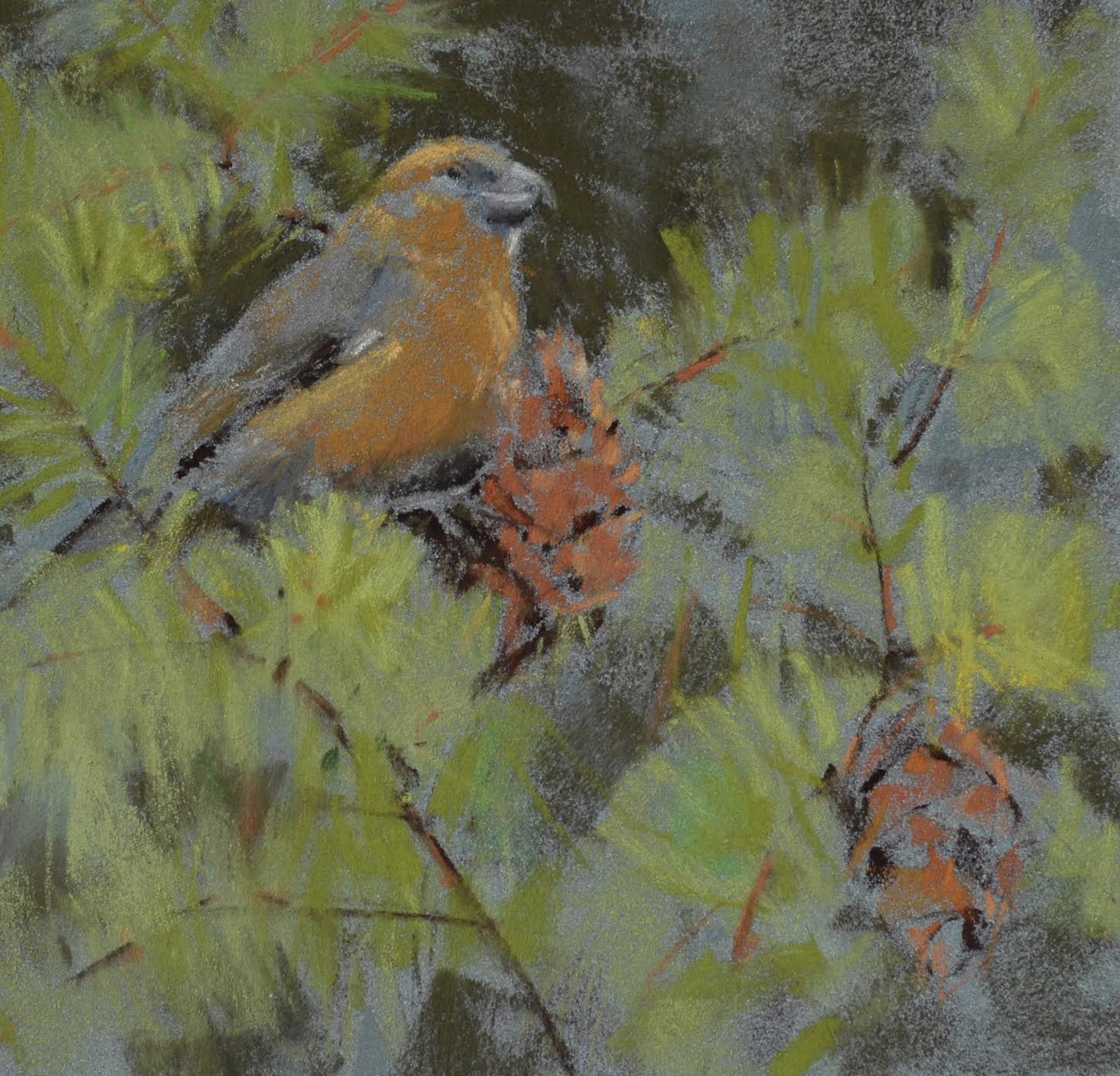 Crossbill, 2023