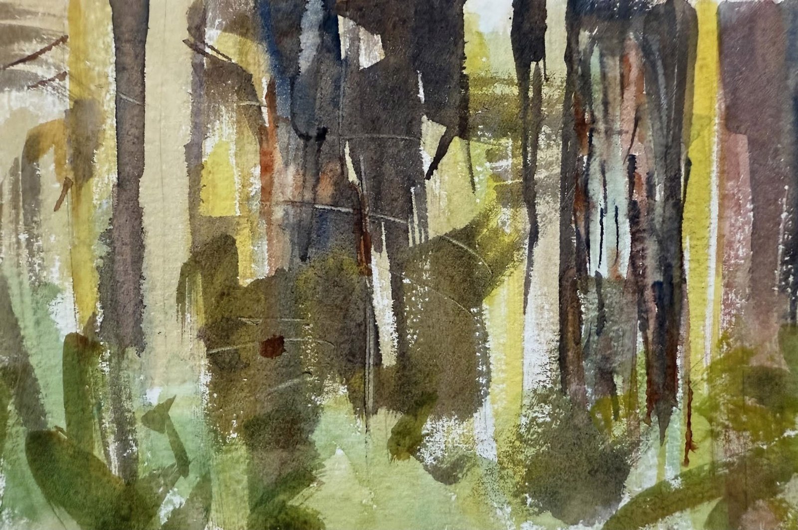 Grand Fir Trunks