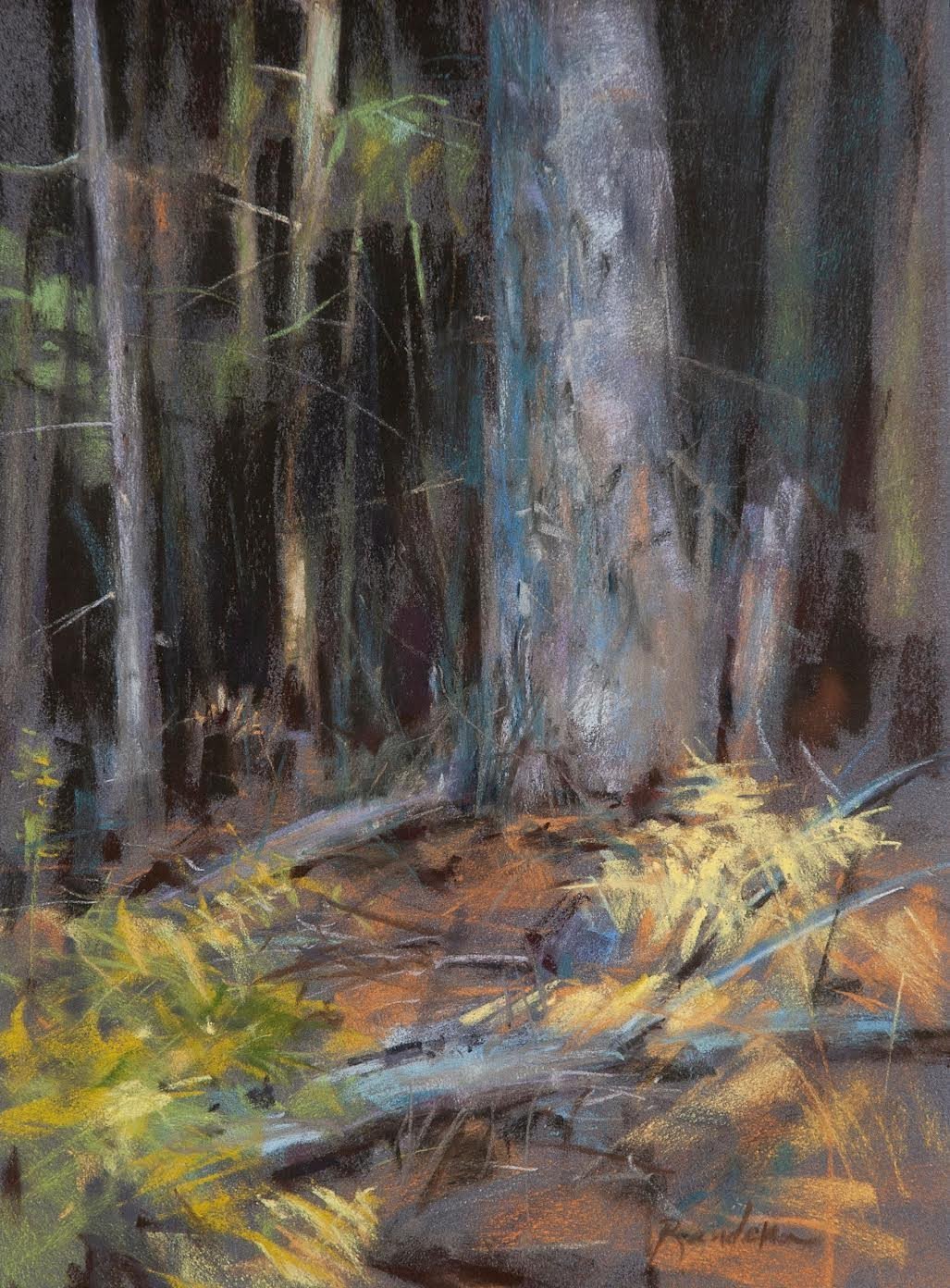 Forest Edge – Fall