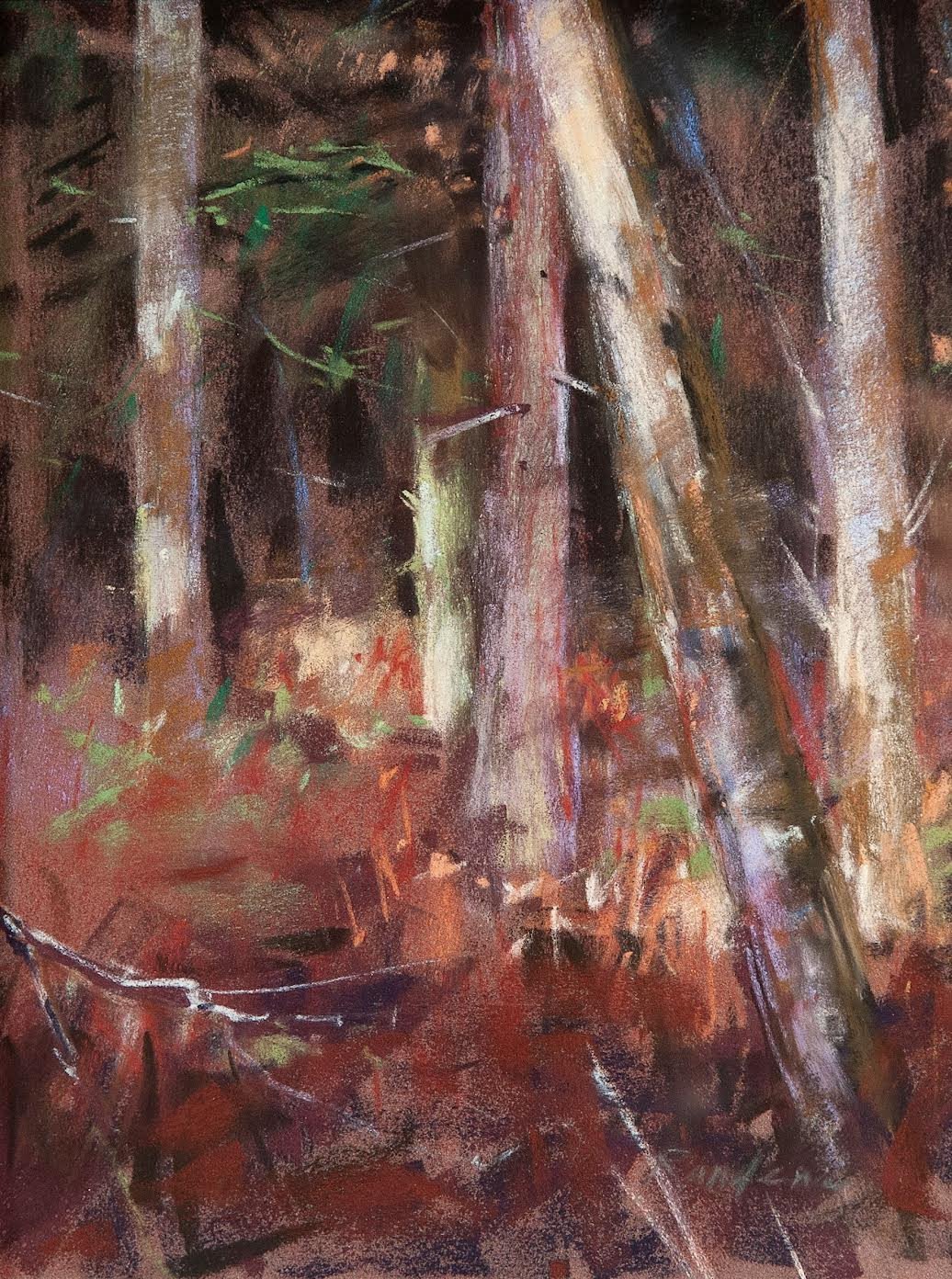 Winter Afternoon