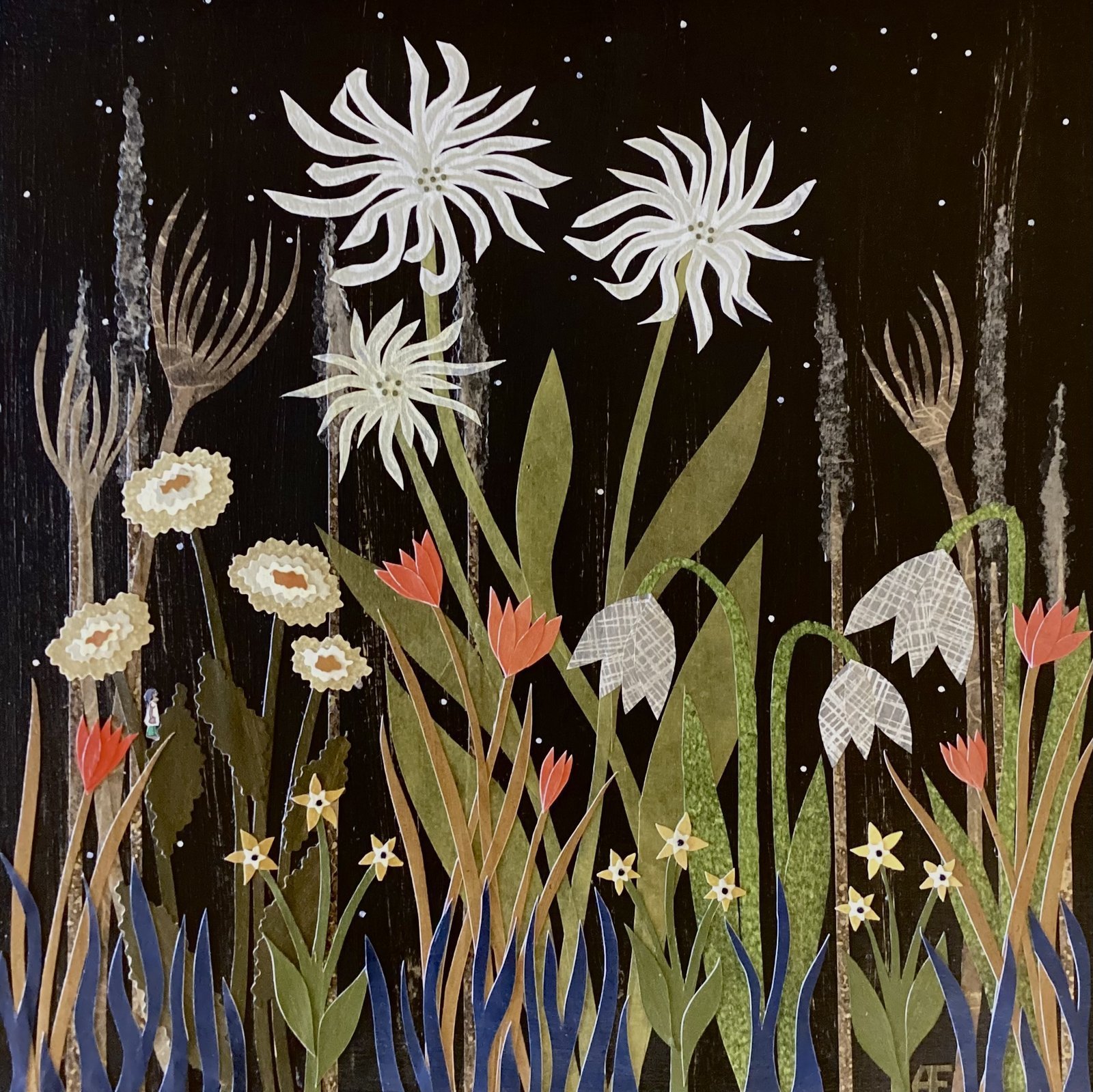 Powdered With Stars
