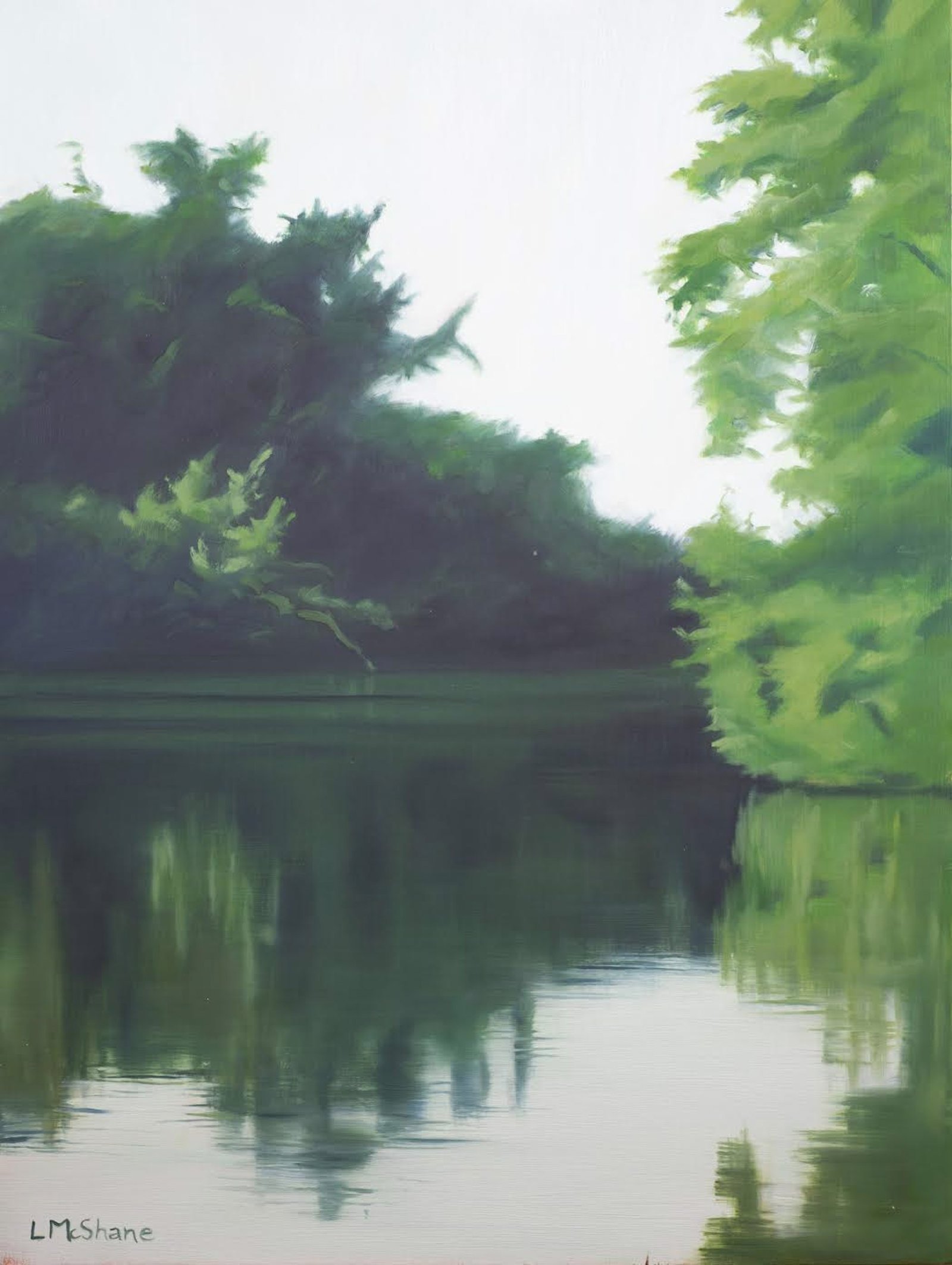 Flooded River