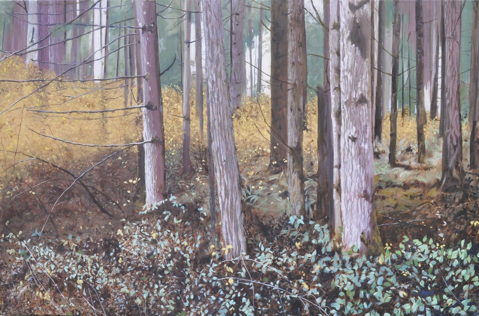 Forested