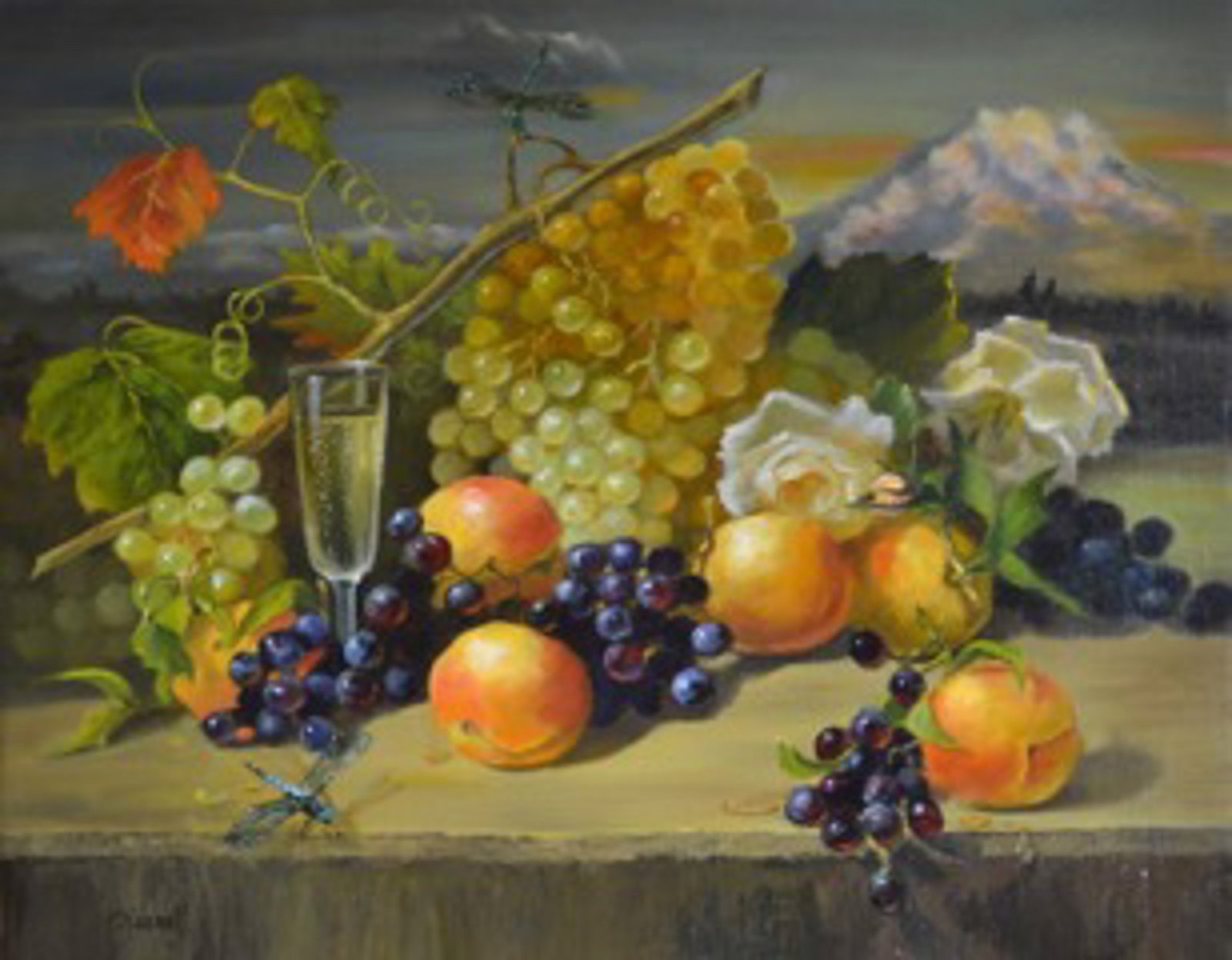 Champagne Grapes With Mountain View