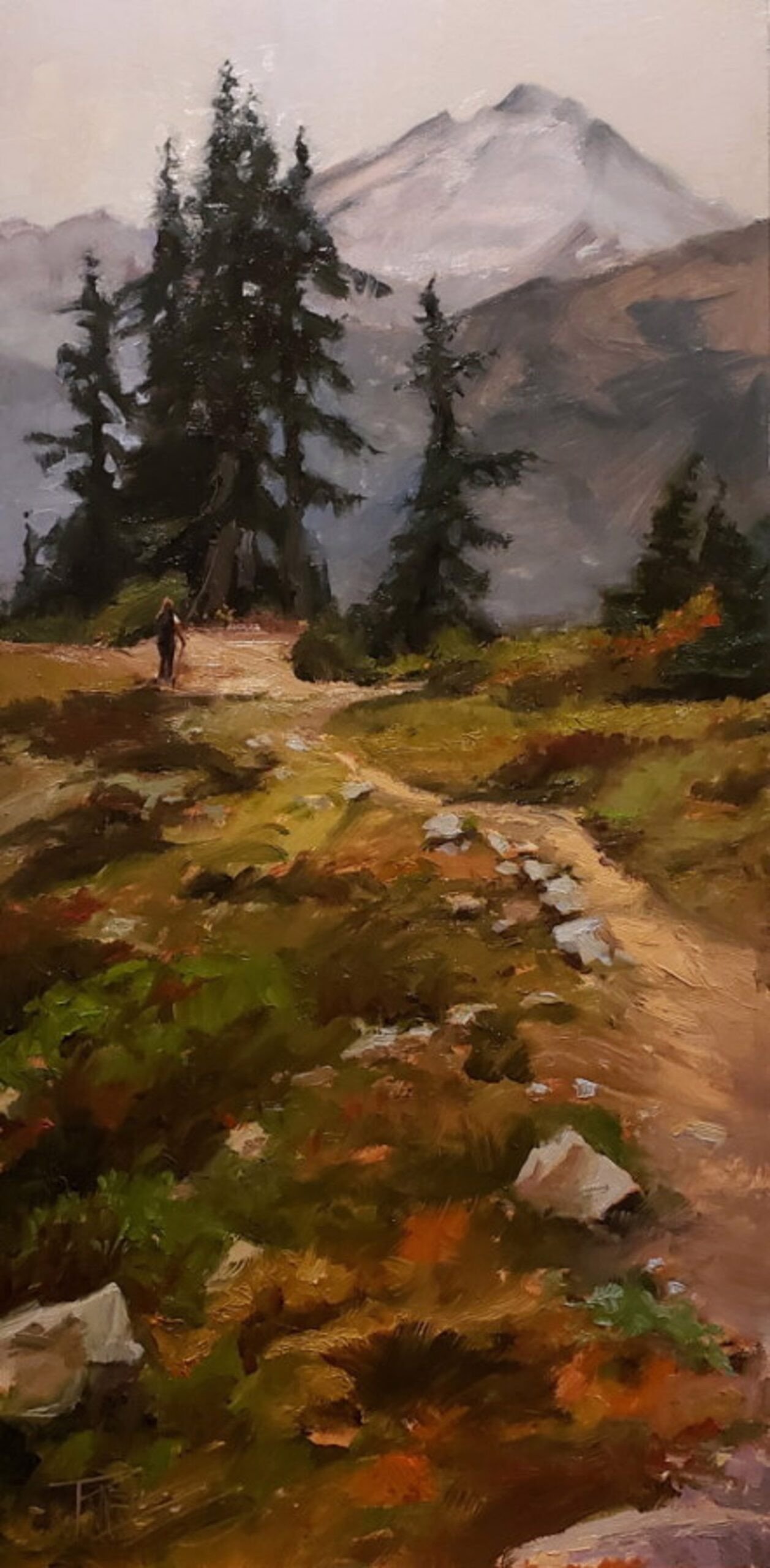 Mount Baker Trail
