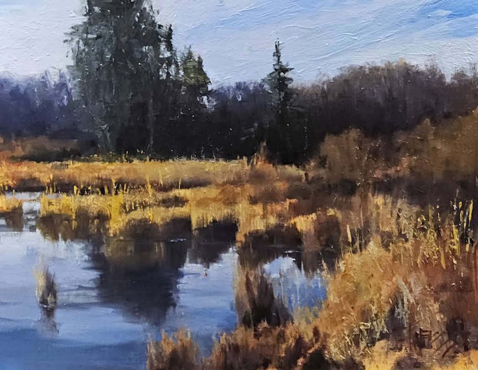 Washington Wetlands by Robin Paul Weiss