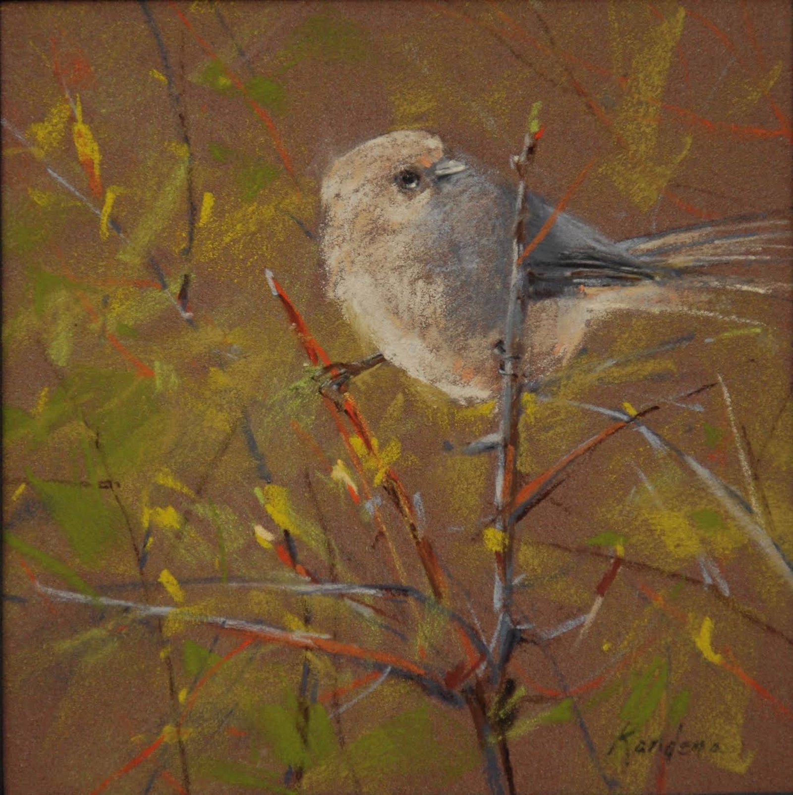Bushtit, 2023